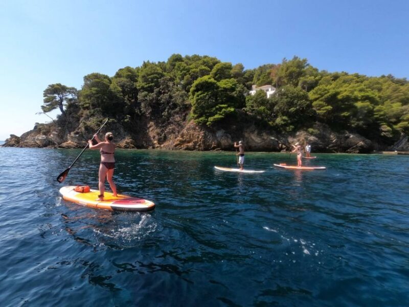 Skiathos: Guided Sea Kayaking Tour with Swim Stop - Key Points