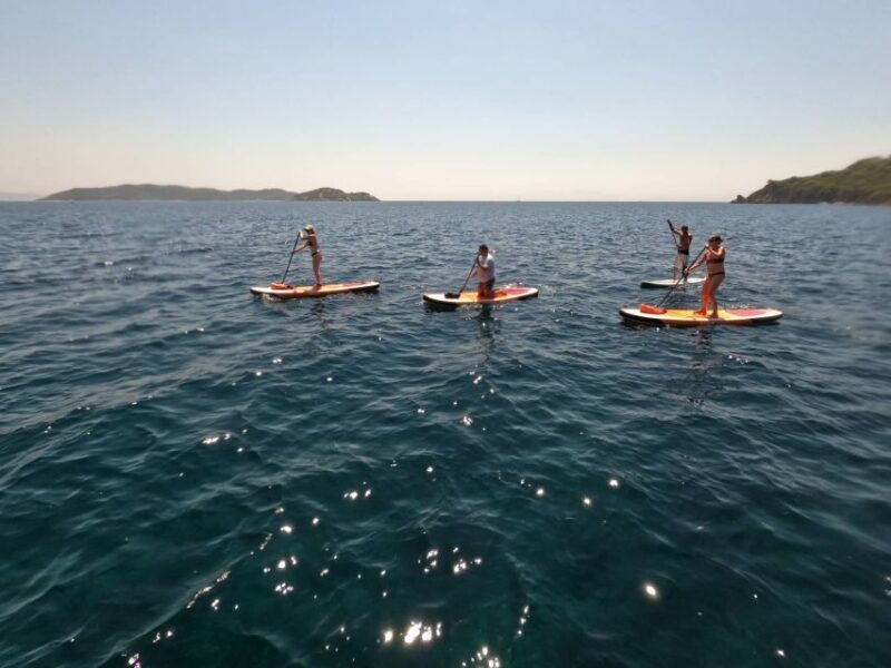 Skiathos: Guided Sea Kayaking Tour with Swim Stop - Who Should Consider This Tour?