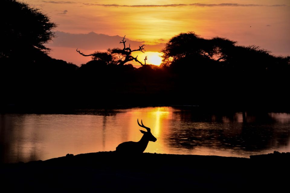 Skip The Line Access: Panna National Park Jungle Safari - Safari Inclusions and Services