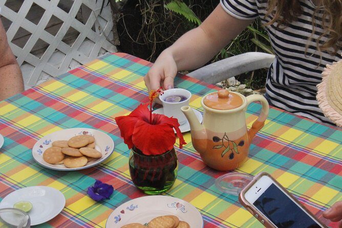 Skip the Line: Ahhh Ras Natango Gallery and Garden Admission Tickets - The Final Word