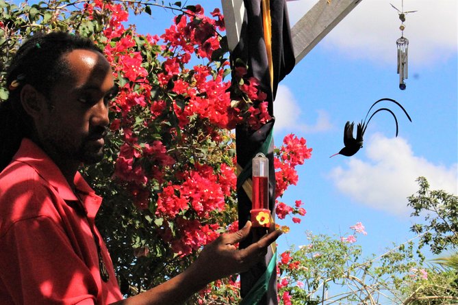 Skip the Line: Ahhh Ras Natango Gallery and Garden Admission Tickets - Art and Souvenir Shopping