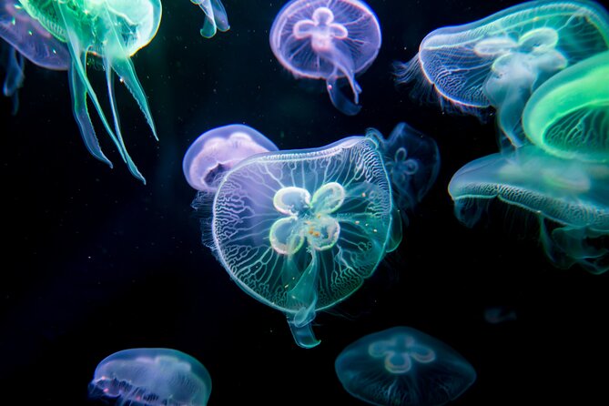 Skip the Line: Antalya Aquarium Ticket - Posing With Celebrities