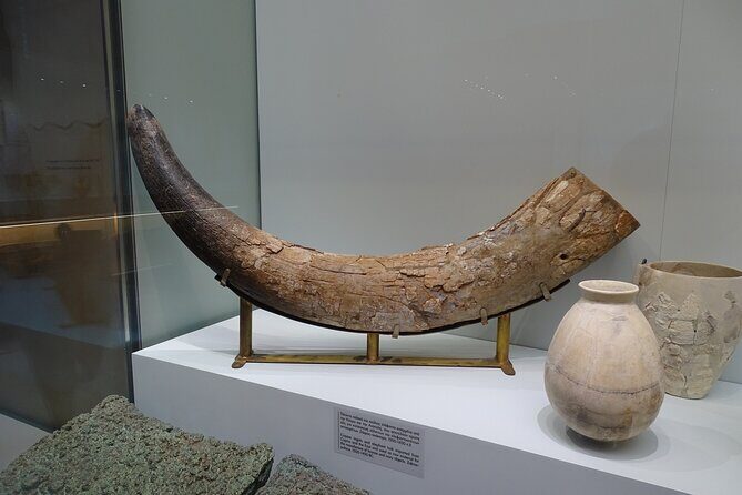 Skip the Line-Archaeol Museum/Knossos Palace-Private Guided Tour - FAQs