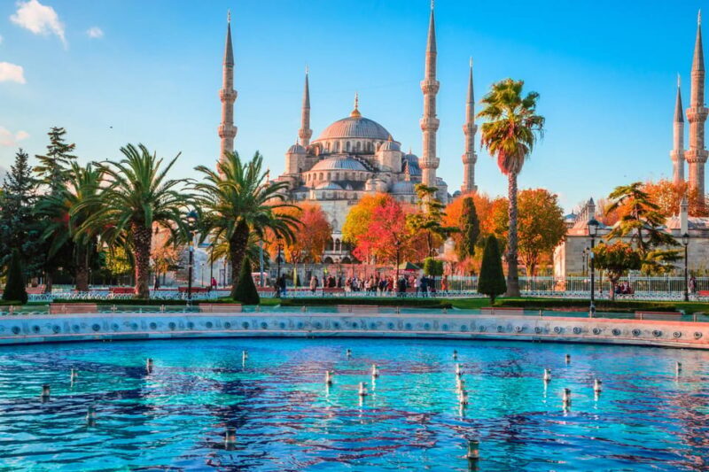 Skip-the-line Basilica Cistern, Hagia Sophia, Istanbul Tour - The Convenience of Private Transfers and Guided Tours