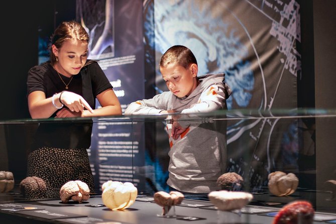 Skip the Line: Body Worlds Amsterdam Ticket - Reviews and Ratings Overview