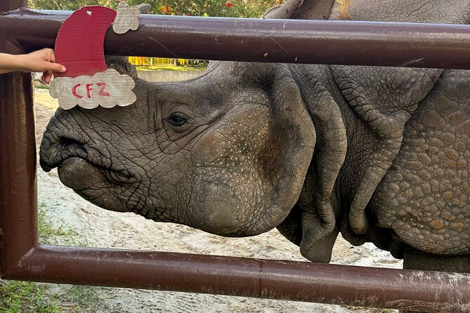 Skip The Line Central Florida Zoo Review - Pricing and Discounts