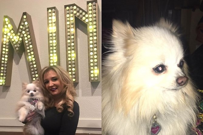 Skip the Line: Dimmares Martinis and Magic® Ticket - Booking and Cancellation Policies