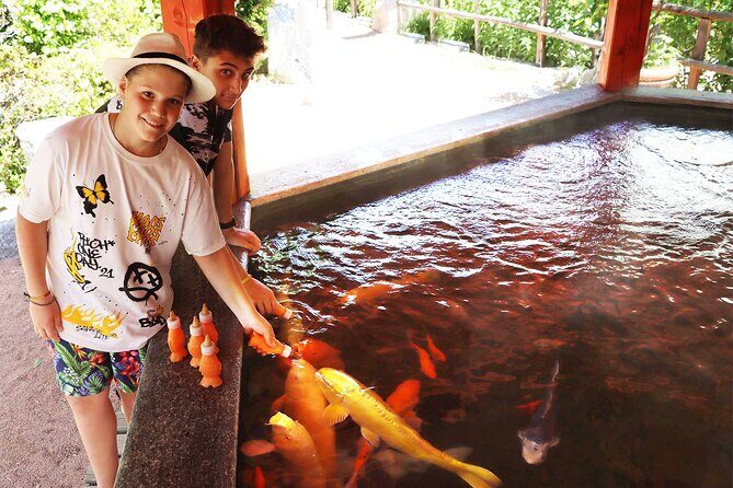 Skip the Line: Falconeria Locarno Ticket - Introduction