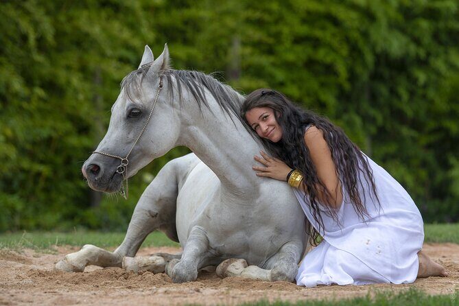 Skip the Line: Falconeria Locarno Ticket - In-Depth Look at the Itinerary