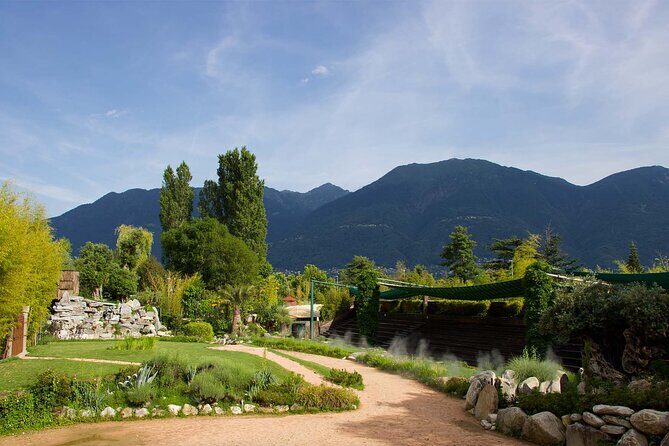 Skip the Line: Falconeria Locarno Ticket - Value and Practical Considerations