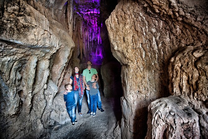 Skip the Line: Jungle Park Tenerife Entrance Ticket - Overview and Admission Details
