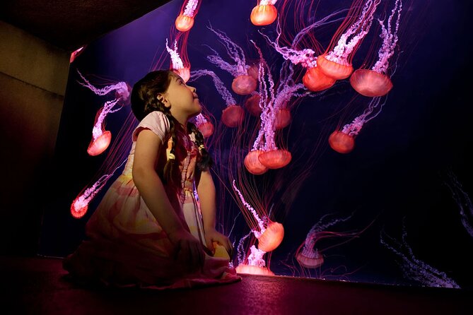 Skip the Line: Lost Chambers Entry at Atlantis The Palm Ticket - Feedback From Visitors