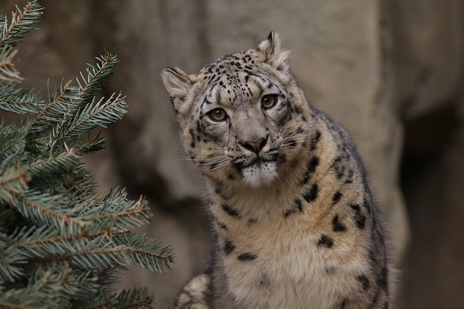 Skip the Line: Miller Park Zoo General Admission Ticket - Good To Know