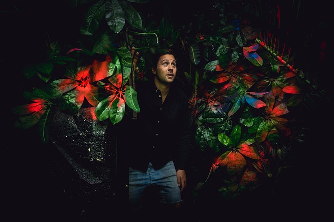 Skip the Line: Odyssey Sensory Maze Entry Auckland Ticket - Visitor Reviews and Feedback