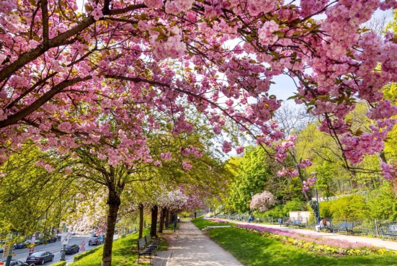 Skip-the-line Petrin Tower Prague Private Tour with Tickets - FAQ