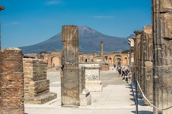 Skip the Line Pompeii Guided Tour From Sorrento - Additional Information