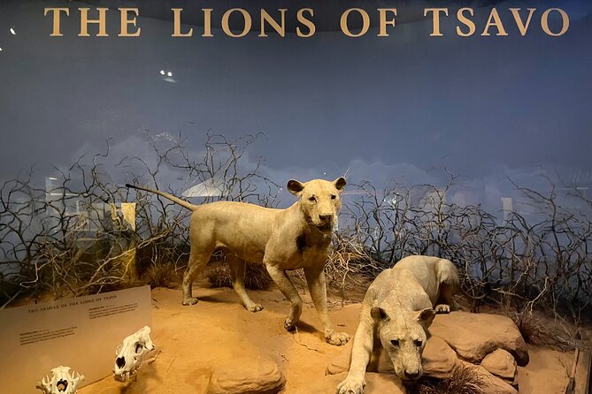 Skip-the-Line Private Field Museum of Natural History Guided Tour - Exploring the Exhibits