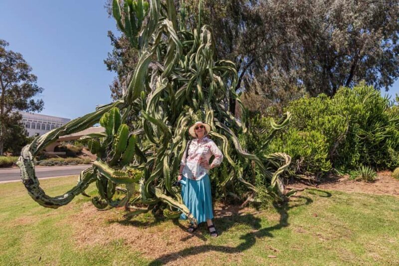 Skip-the-line San Diego Museum of Art Private Guided Tour - The Experience of a Private Guide