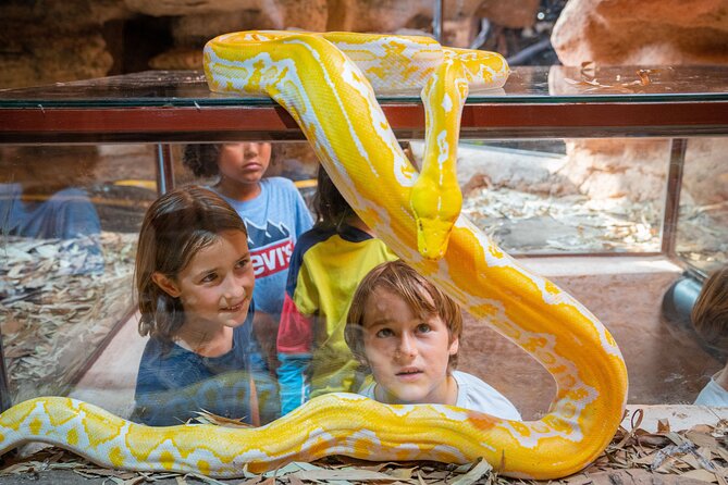 Skip the Line Ticket to Crocoparc With Optional Transfert - How to Get There