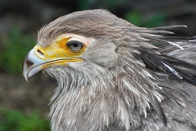 Skip the Line: World of Birds Admission Ticket - Getting to the Venue