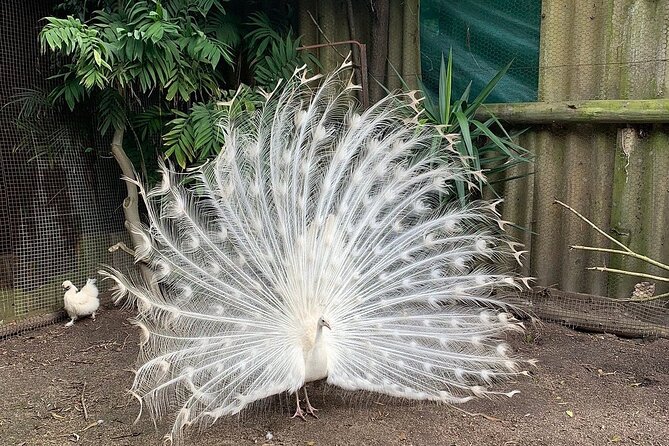 Skip the Line: World of Birds Admission Ticket - Frequently Asked Questions