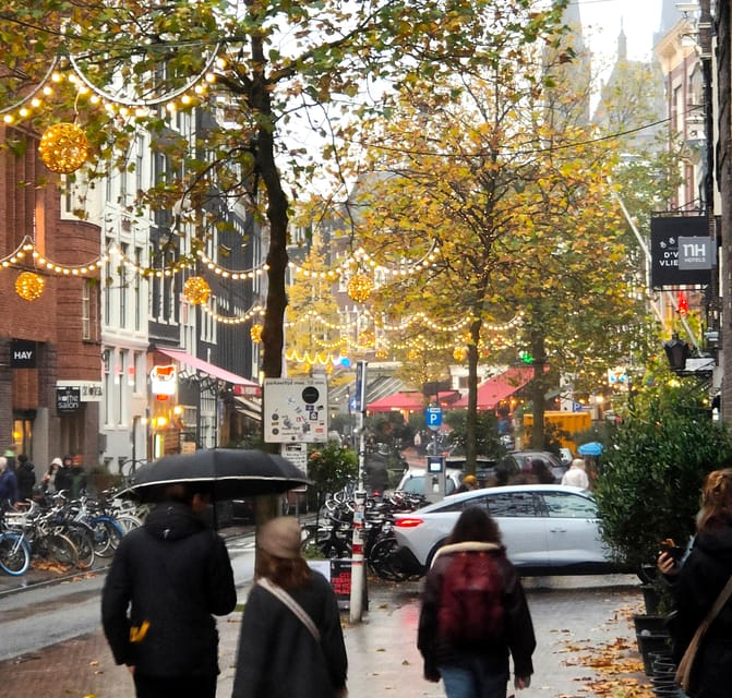Skipping Lines & Sipping Beers: A History Tour of Amsterdam - Practical Details and Value