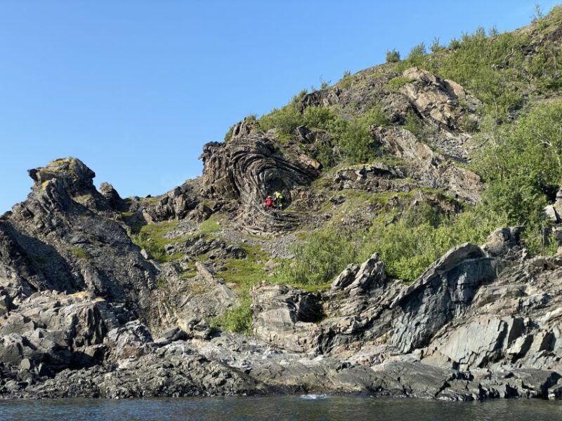 Skjervøy: Birds and Wildlife of Arctic Norway - Final Thoughts