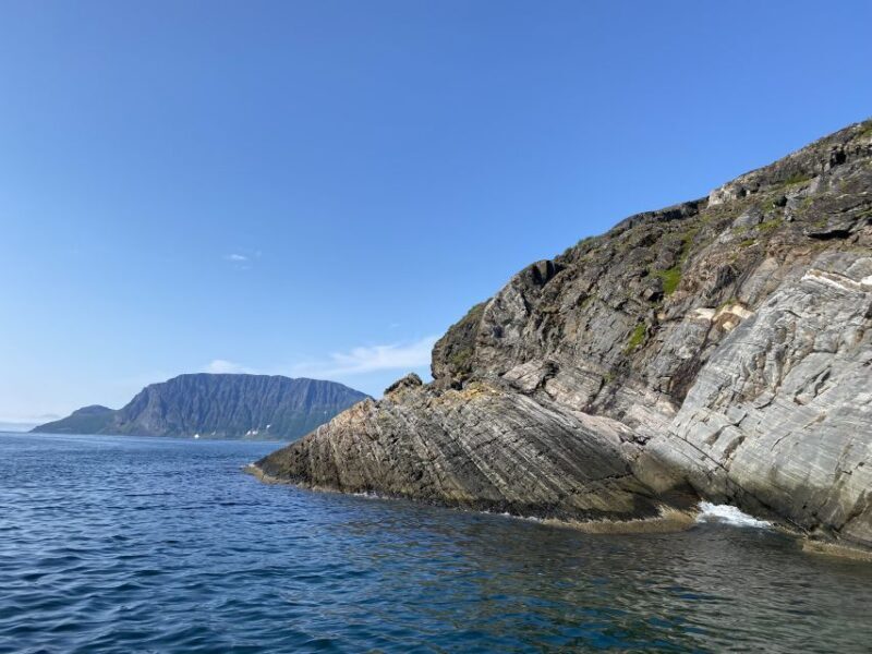 Skjervøy: Birds and Wildlife of Arctic Norway - FAQ