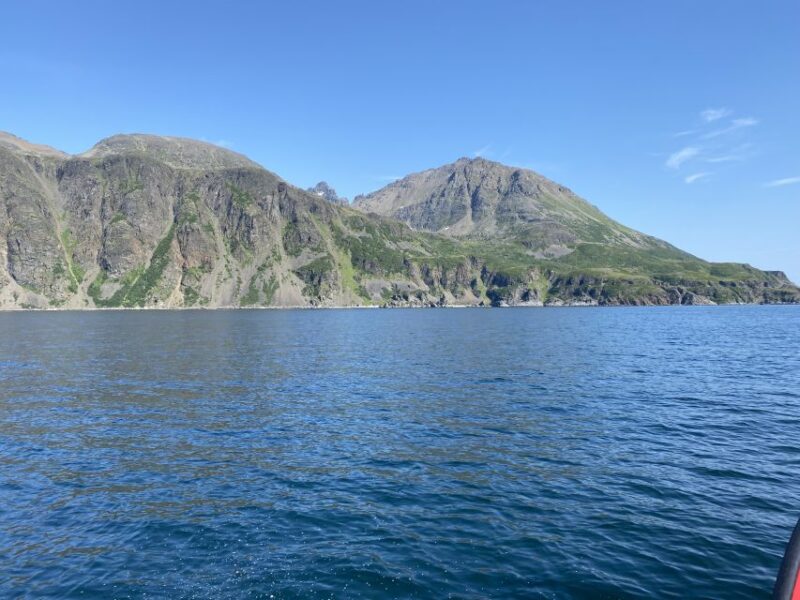 Skjervøy: Birds and Wildlife of Arctic Norway - Marine Life Encounters