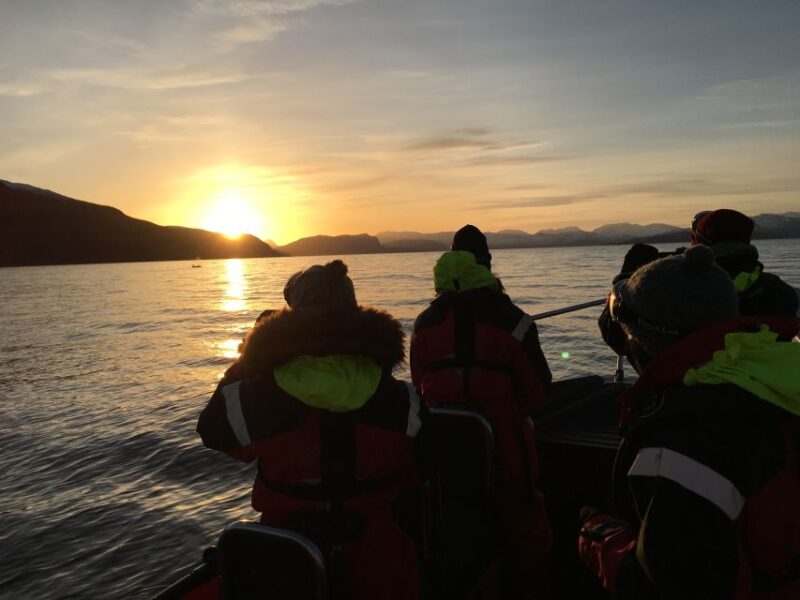 Skjervøy: Birds and Wildlife of Arctic Norway - Cultural Significance
