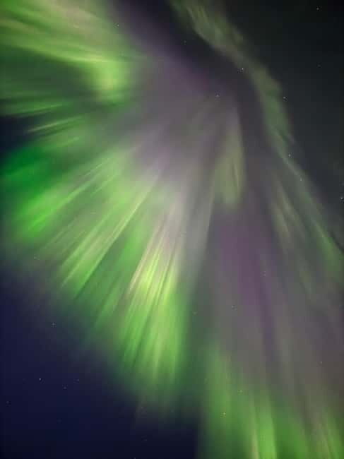Skjervøy,North of Tromsø:Northern Lights Stargazing(Minivan) - An In-Depth Look at the Tour Experience
