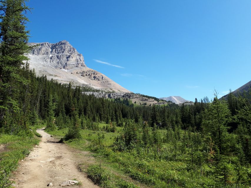Skoki Lake Louise Daily Guided Hike in the Canadian Rockies - Meeting Point