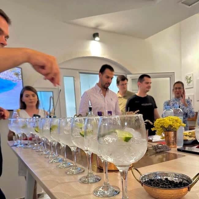 Skopje: A Unique Gin and Cocktail tasting tour - Key Points