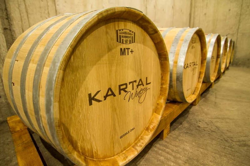 Skopje: Kartal Winery Tour - Key Points