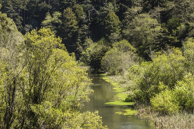 Skunk Train: Pudding Creek Express From Fort Bragg - Booking Details and Policies