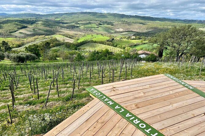 Skydeck - sunset picnic with 360° view of scenic Maremma hills - An In-Depth Look at the Skydeck Sunset Picnic Experience