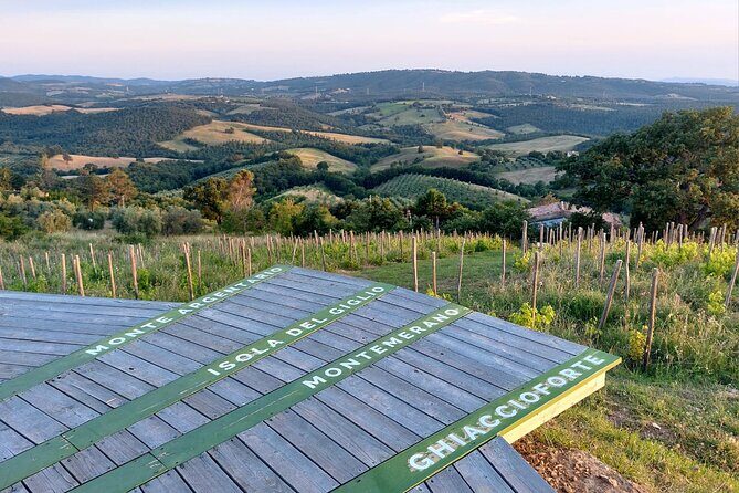 Skydeck - sunset picnic with 360° view of scenic Maremma hills - Practical Details and Tips