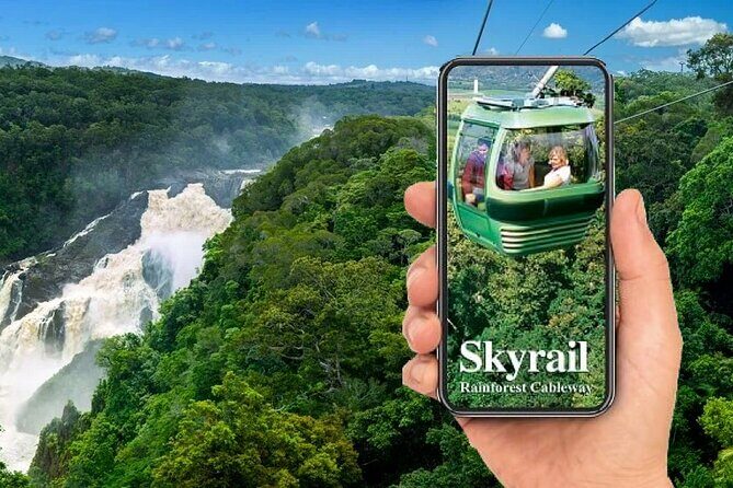 SKYRAIL CABLEWAY TRANSFER between Port Douglas & Skyrail (RETURN) - Key Points