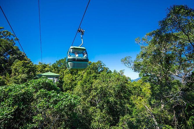 Skyrail Rainforest Cableway Day Trip from Cairns - Introduction