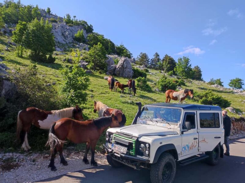 Skywalk (1228 m) and St. George (1762 m) Eco Tour - A Deep Dive into the Experience