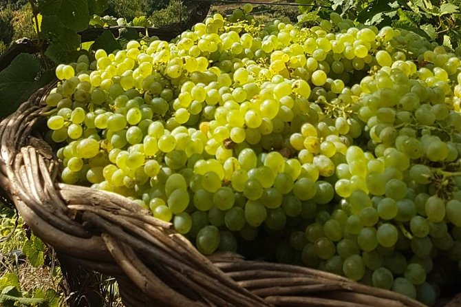 Skywalk With Wines Tasting and Vineyards Half Day 4x4 Adventure - Recap
