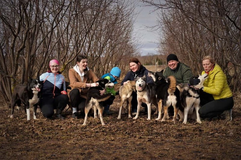 SLED DOG KENNEL VISIT TARTU COUNTRY ESTONIA - Key Points