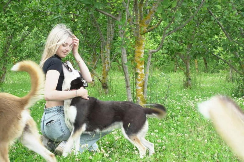 SLED DOG KENNEL VISIT TARTU COUNTRY ESTONIA - Frequently Asked Questions (FAQs)