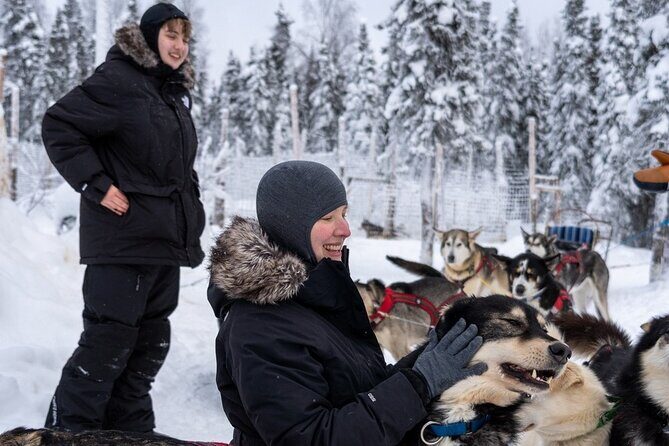 Sledding and Homesteading Adventure - The Sum Up