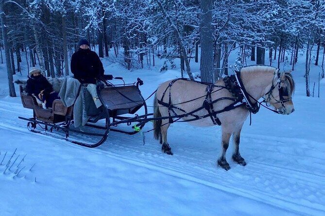 Sleigh or wagon ride in the arctic Country side - Who Will Love This Tour?