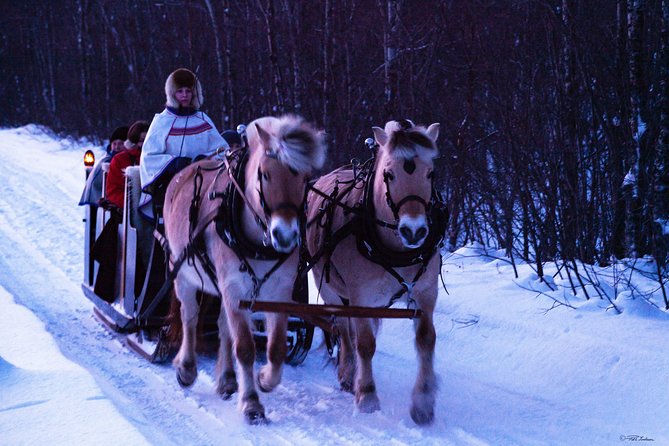 Sleigh Ride W/ Tapas Meal - Experience Arctic Farm Life - Pickup and Accessibility