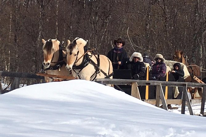 Sleigh Ride W/ Tapas Meal - Experience Arctic Farm Life - Guest Feedback Highlights