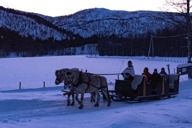 Sleigh Ride W/ Tapas Meal - Experience Arctic Farm Life - Memorable Experiences Await