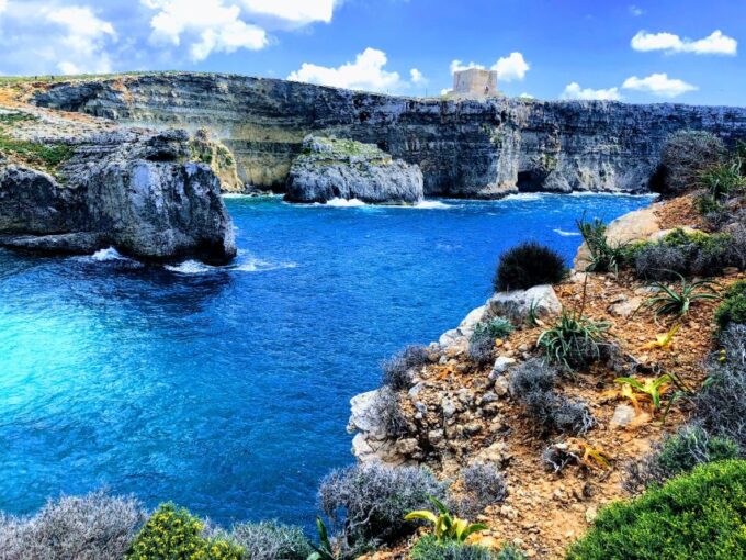Sliema: Fernandes Gozo and Comino Cruise With Lunch & Drinks - Customer Feedback and Ratings