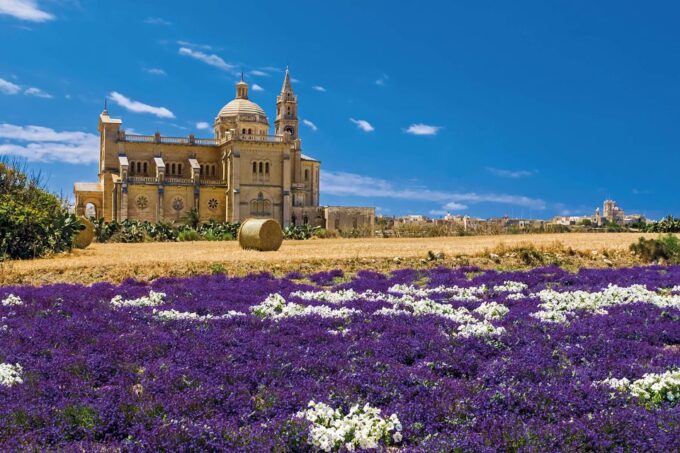 Sliema or St. Pauls Bay: Best of Gozo and Comino Day Trip - Customer Reviews
